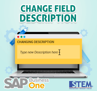 SAP Business One Tips Change Field Description