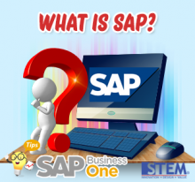 What Is SAP | SAP Business One Indonesia Tips | STEM SAP Gold Partner