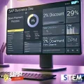 memisahkan diskon dan dpm fitur sap b1 tips