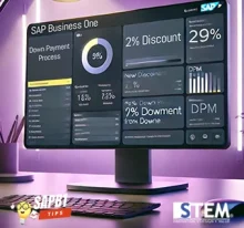 memisahkan diskon dan dpm fitur sap b1 tips