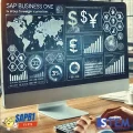 foreign currency financial statements in sap b1