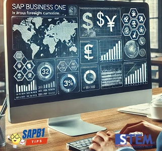 Laporan Keuangan Mata Uang Asing di SAP B1