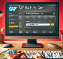 Hide Empty Address Line SAP B1